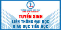 truong-dai-hoc-dong-thap-tuyen-sinh-lien-thong-dai-hoc-giao-duc-tieu-hoc-tai-tphcm-500